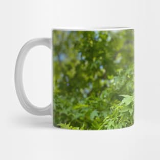 Spring Leaves in Portland Mug